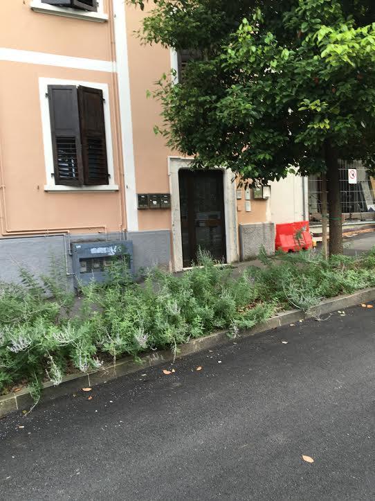 Appartamento I Sentieri 23 Riva del Garda Exterior photo